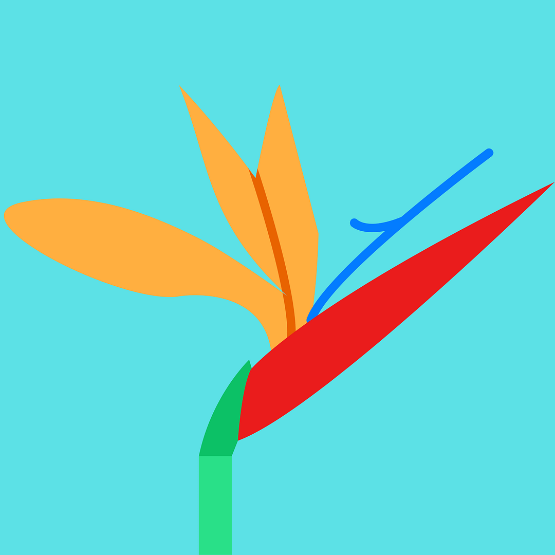 Caption LA Logo